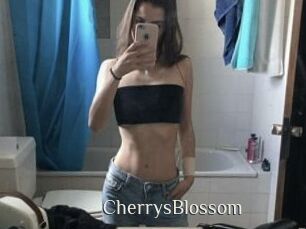CherrysBlossom Shop coquin