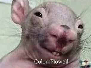 Colon_Plowell