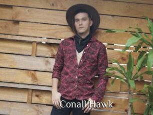 Conall_Hawk
