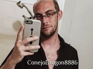ConejoDragon8886