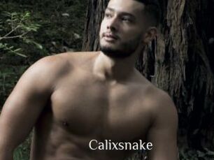 Calixsnake