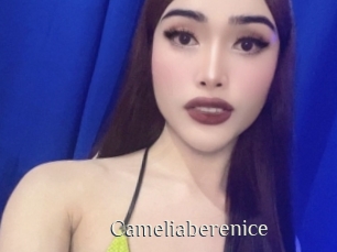 Cameliaberenice