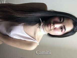 Camini