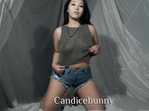 Candicebunny