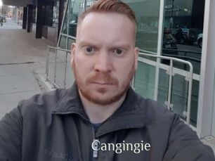 Cangingie