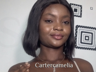 Cartercamelia