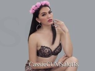 CassieCUMSalot18