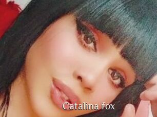 Catalina_fox