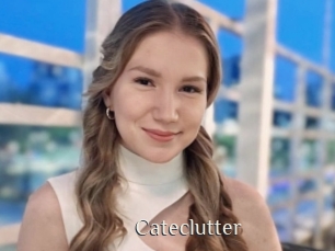 Cateclutter