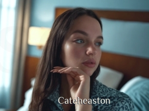 Cateheaston