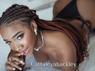 Cattaleyabackley