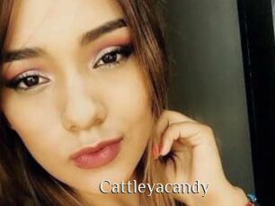 cattleyacandy Shop coquin