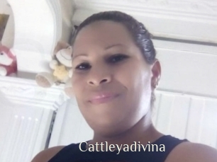 cattleyadivina Shop coquin