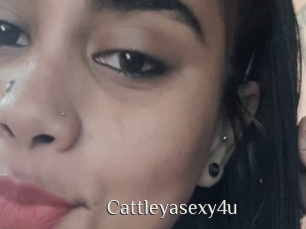 Cattleyasexy4u