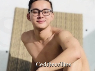 Ceddiecollins