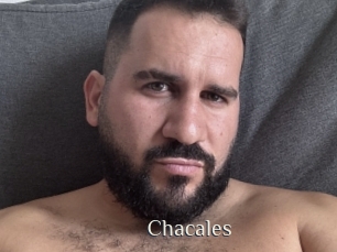 Chacales