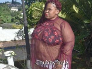 Chubby_bule