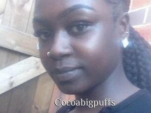 Cocoabigpuffs