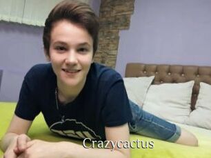 Crazycactus