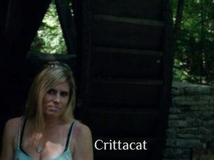 Crittacat