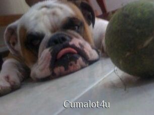 Cumalot4u