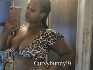 Curvybunny19