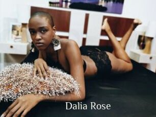 Dalia_Rose