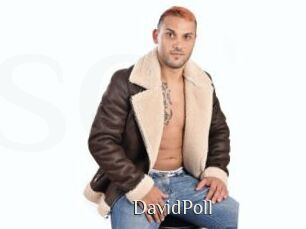 DavidPoll