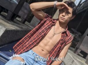 David_Wood