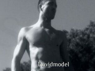 Davidmodel