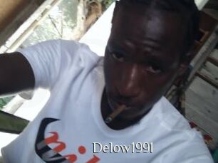 Delow1991