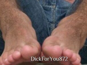 DickForYou872