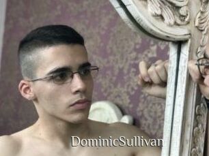 DominicSullivan Shop coquin