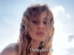 Daisyburge