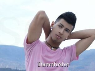 Damnfoxter