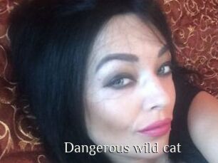 Dangerous_wild_cat
