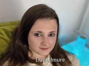 Dantelmure