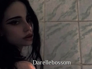 Darellebossom