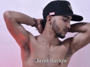 david_harlow Shop coquin