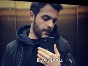 Davidbudz