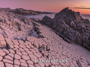 Davidhmodel