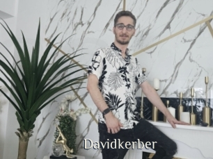 Davidkerber