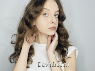 Dawnbeech