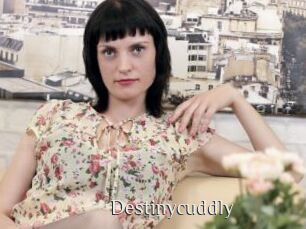 destinycuddly Shop coquin