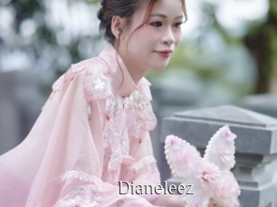 dianeleez Shop coquin