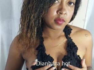 Dianhara_hot