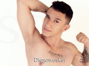diegowesker Shop coquin