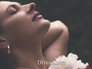 Divinakarni