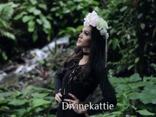 Divinekattie