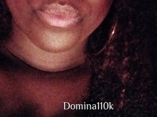 Domina110k